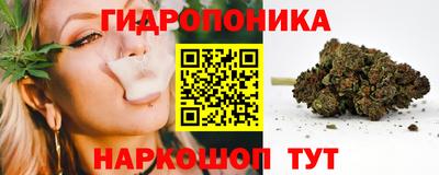 мяу мяу мука Канаш
