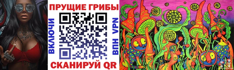 Галлюциногенные грибы Psilocybine cubensis  закладки  Новочеркасск 