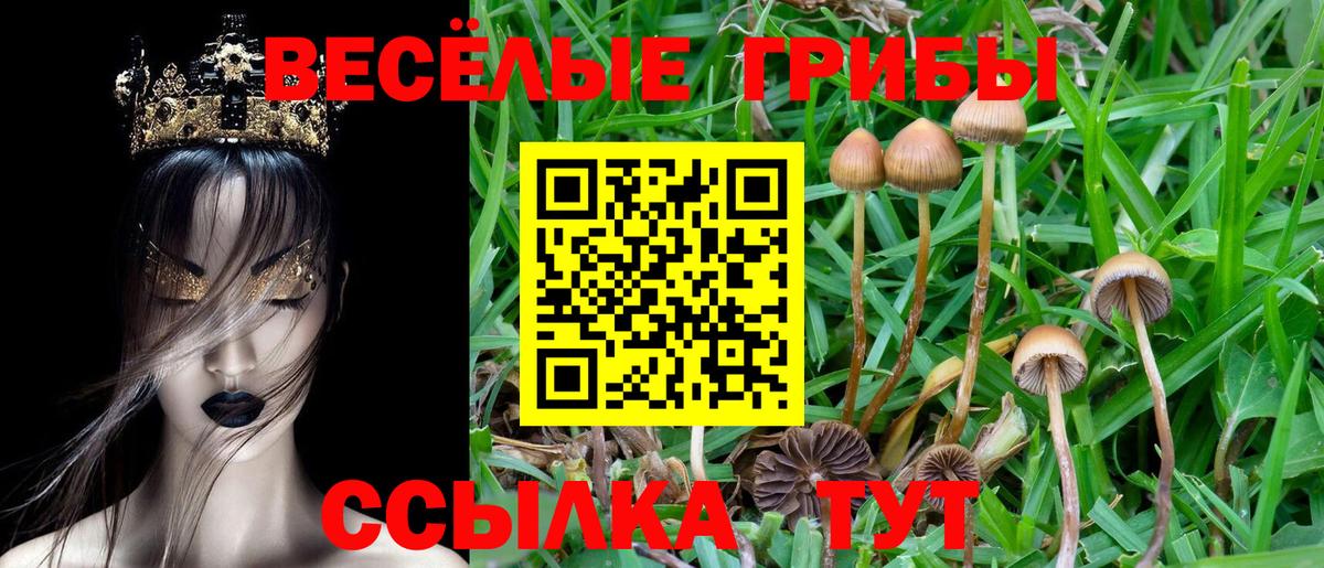 Новочеркасск  Галлюциногенные грибы мухоморы  Вход с VPN 